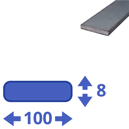 stalen strip 100x8mm