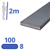 stalen strip 100x8mm