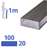 stalen plat 100 x 20mm, lengte 1000mm