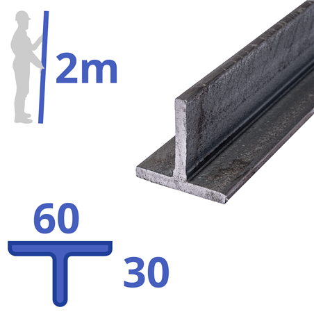 stalen T-profiel 60 x 30 x 5,5mm