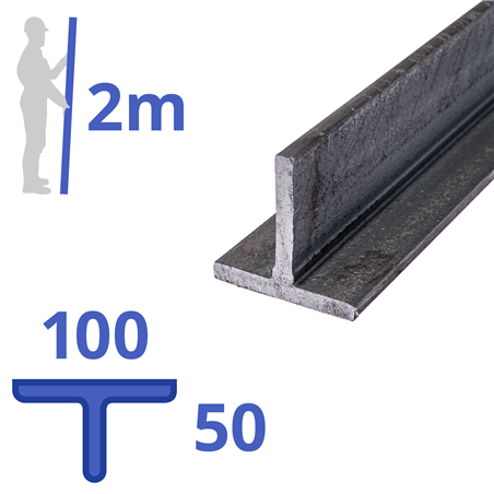 Stalen T-profiel 100x50x8,5mm