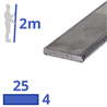 rvs strip 25x4mm