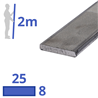 rvs strip 25x8mm