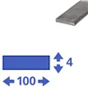 rvs strip 100x4mm